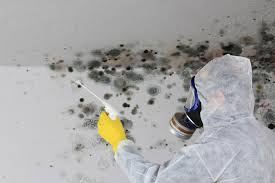 Forensic Mold Investigation in Lafayette, CA